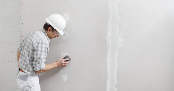 Best Mold-Related Health Consultation  in Emmon, AK