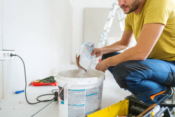 Best Black Mold Removal  in Emmon, AK