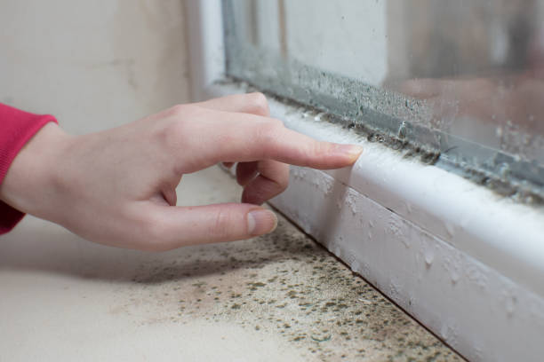 Best Mold Removal for HVAC Installations  in Emmon, AK