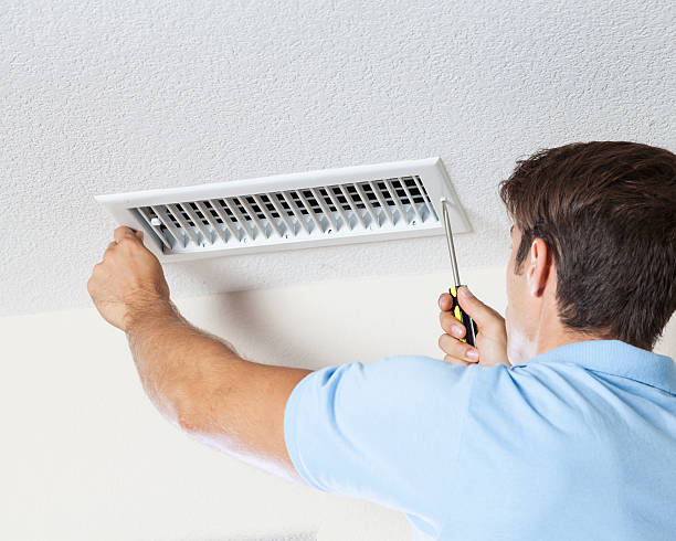 Best Attic Mold Removal  in Emmon, AK
