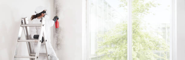 Best Dehumidification Services  in Emmon, AK