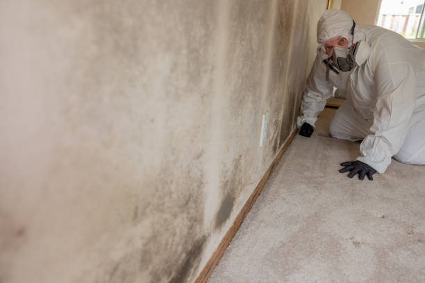 Best Asbestos and Lead Testing During Mold Inspection  in Emmon, AK