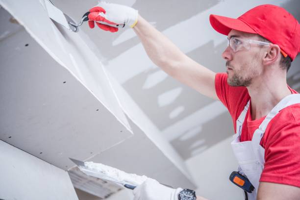 Best Mold Odor Removal Services  in Emmon, AK